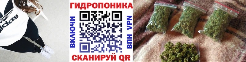 Какие есть наркотики Валдай Конопля COCAIN ГАШИШ