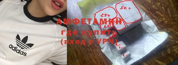 прущие грибы Армянск