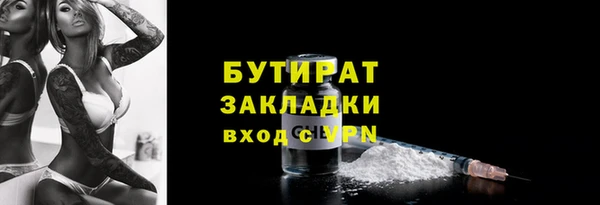 индика Сатка