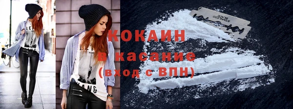 прущие грибы Армянск