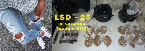 прущие грибы Армянск